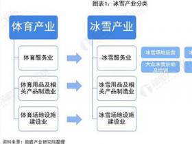 預(yù)見2021：《2021年中國冰雪產(chǎn)業(yè)全景圖譜》