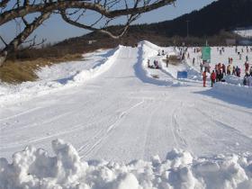 北京市順義區(qū)旅游行業(yè)協(xié)會(huì)到蓮花山滑雪場(chǎng)走訪調(diào)研