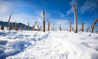 吉林省吉林市大力發(fā)展冰雪經(jīng)濟促轉(zhuǎn)型