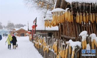 內(nèi)蒙古、吉林攜手共建冰雪朋友圈