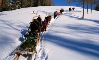 “冷資源”帶動“熱經(jīng)濟” 冰雪旅游走俏還需哪幾步