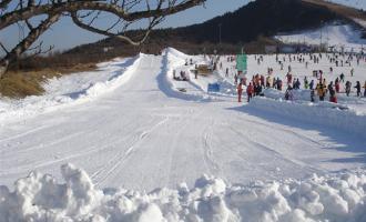 北京市順義區(qū)旅游行業(yè)協會到蓮花山滑雪場走訪調研