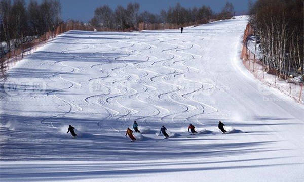 滑雪場