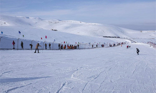 滑雪場