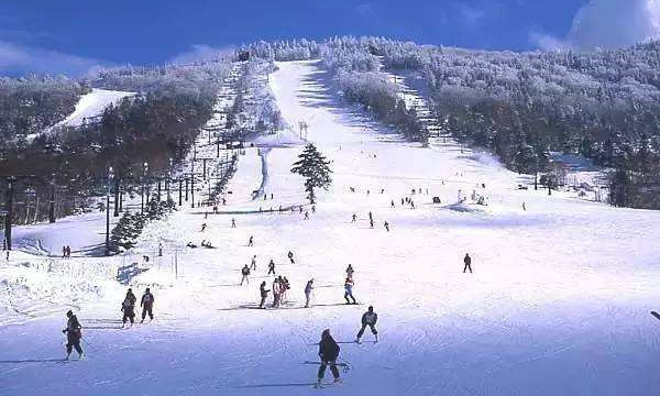 黑龍江哈爾濱林口飛燕山莊滑雪場