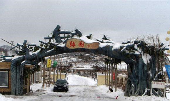 遼寧鐵嶺綠園小馬駒滑雪場(chǎng)