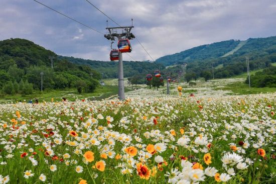 冰雪吉林展開(kāi)夏季行動(dòng)：景區(qū)推新項(xiàng)目重聚人氣3