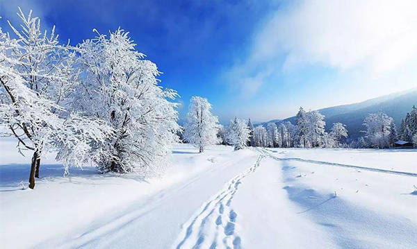 哈爾濱邁向世界冰雪文化旅游名城