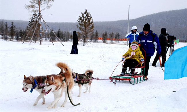 黑龍江伊春森工迎來冰雪文化旅游季