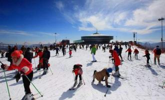 室外滑雪場中有哪些安全隱患？需要怎么預(yù)防?