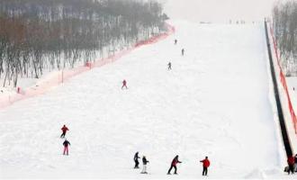 崇禮多樂(lè)美地滑雪場(chǎng)有多少條滑雪道？