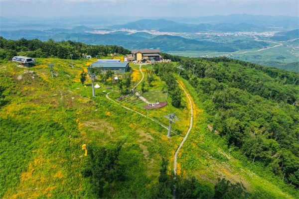 夏日里的萬(wàn)科松花湖滑雪場(chǎng)山頂花海